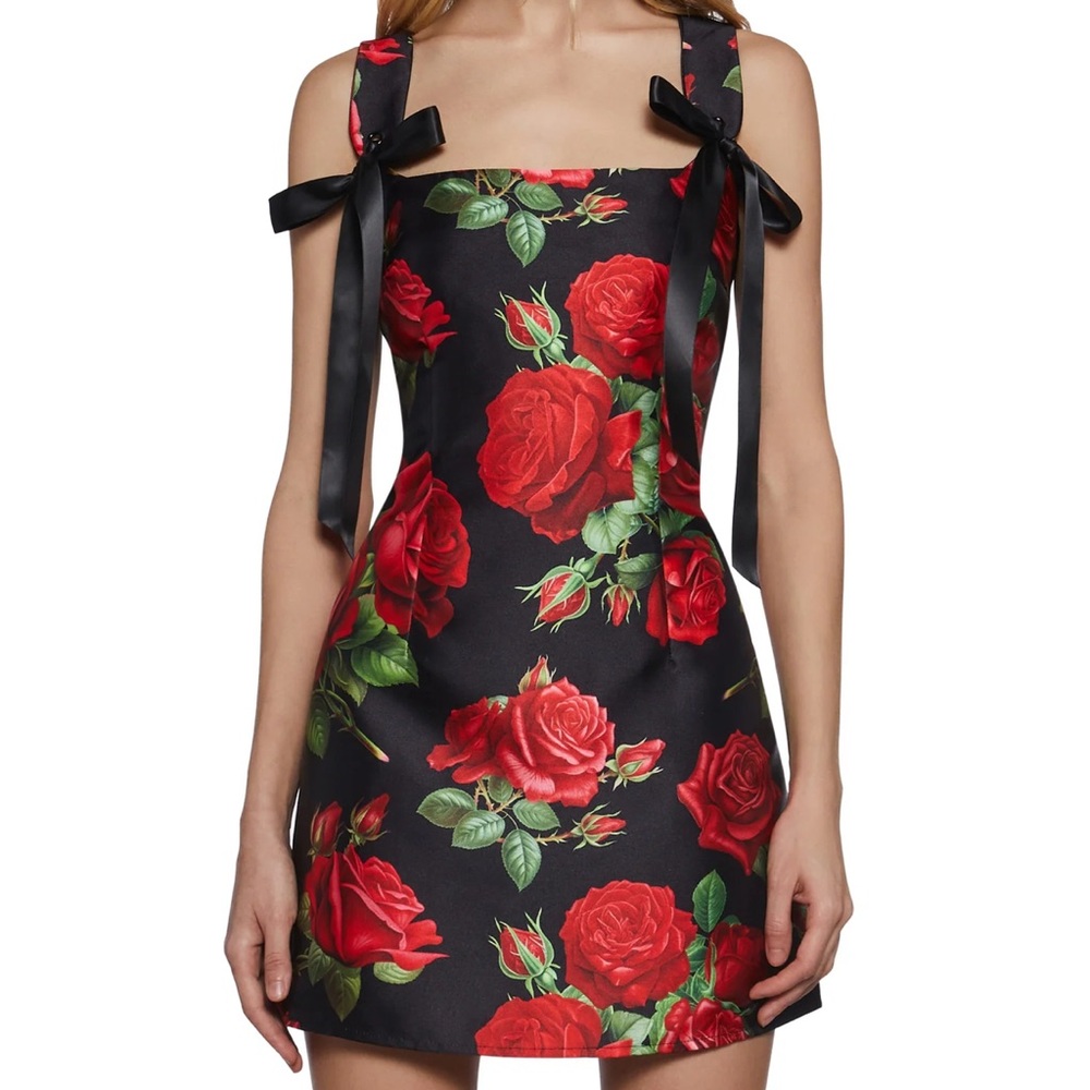 Dolls kill sugar thrillz rose pixie dress - Picture 5 of 5